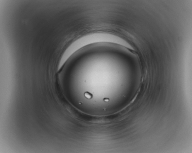 X0000113960452200910021529