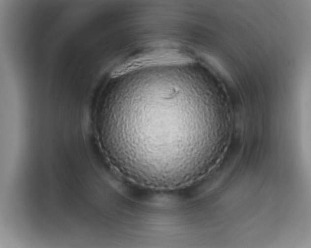 X0000113960453200910021529