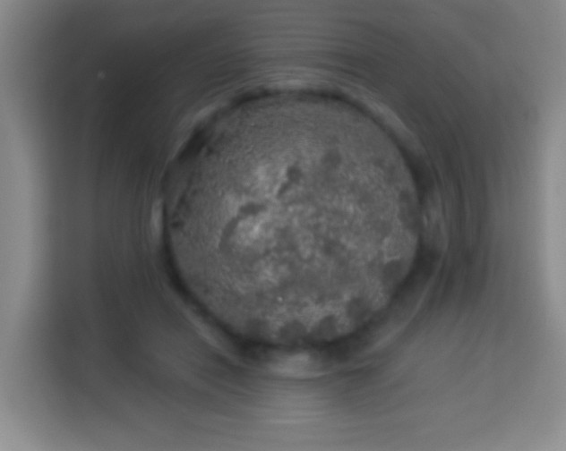 X0000113960454200910021529