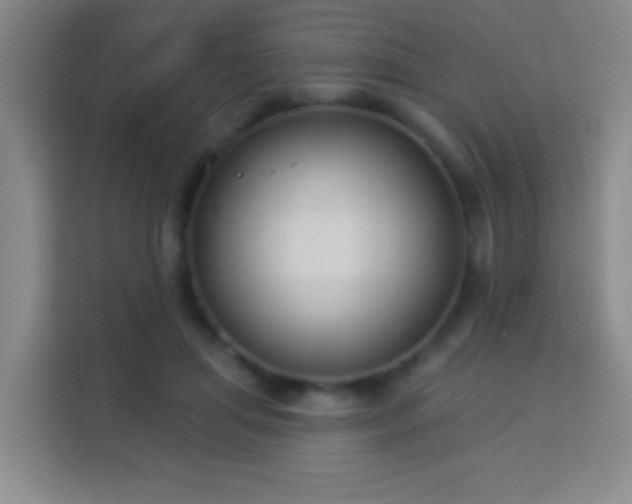 X0000113960455200910021529