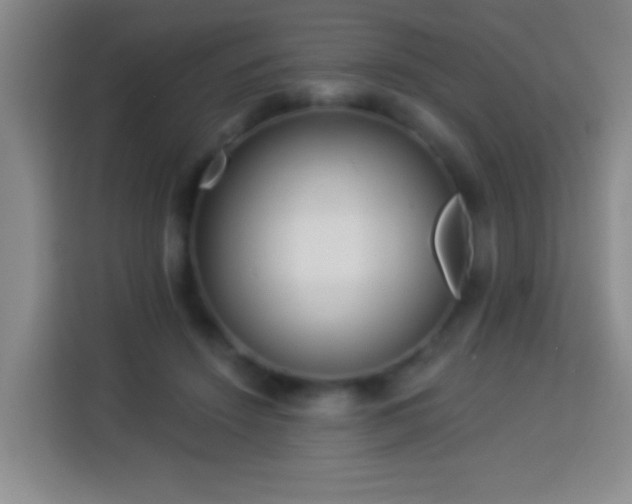 X0000113960456200910021529