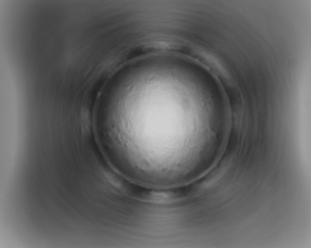 X0000113960457200910021529