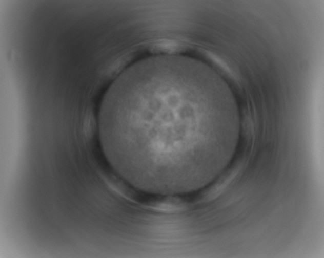 X0000113960459200910021529