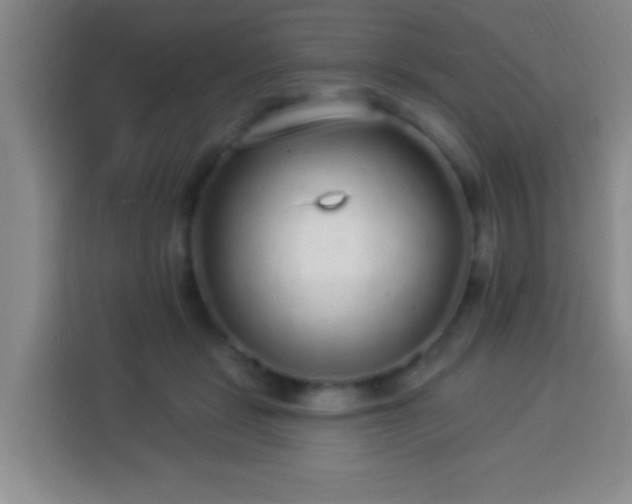 X0000113960461200910021529