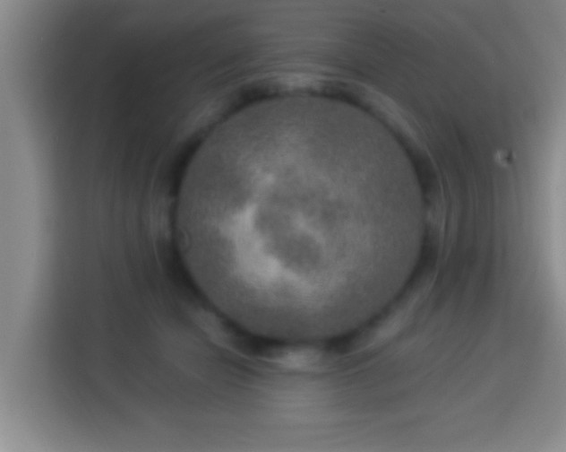 X0000113960462200910021529