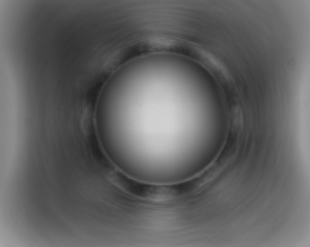 X0000113960463200910021529