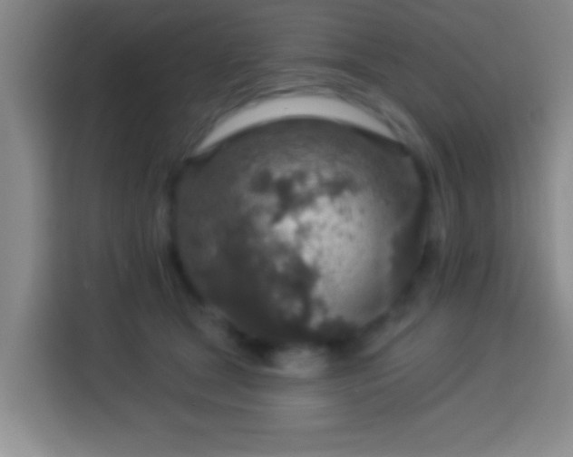 X0000113960465200910021529