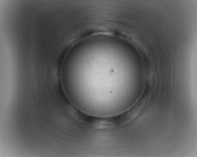 X0000113960466200910021529