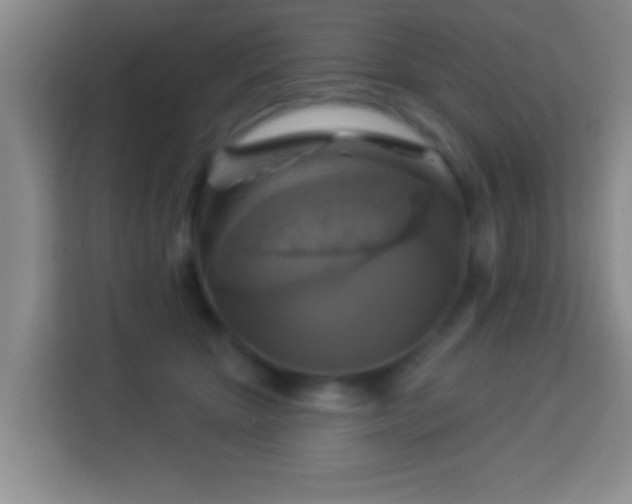 X0000113960467200910021529