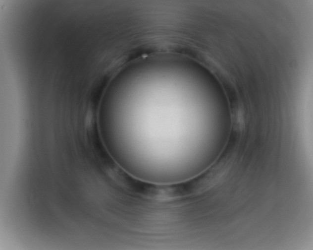 X0000113960472200910021529