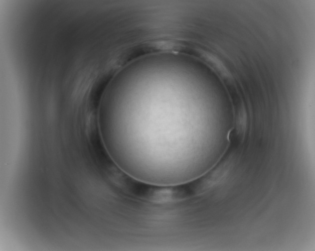 X0000113960473200910021529