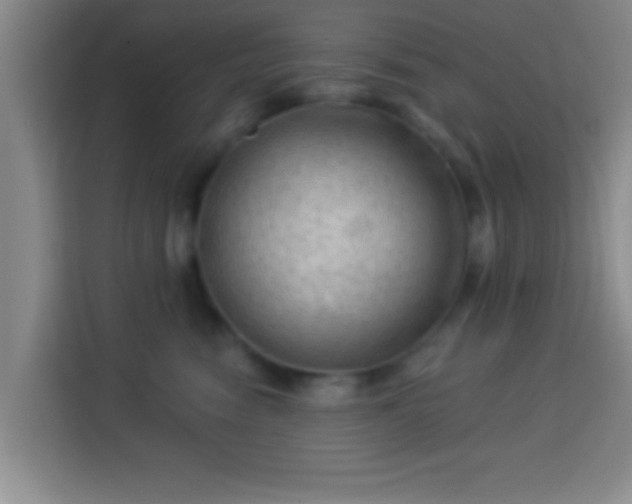 X0000113960474200910021529