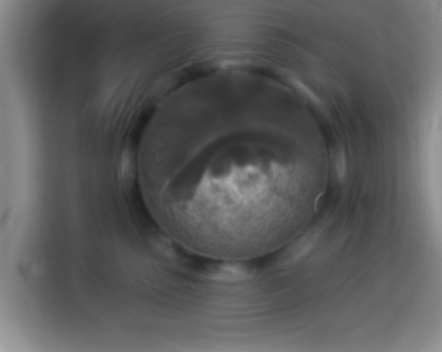 X0000113960475200910021529