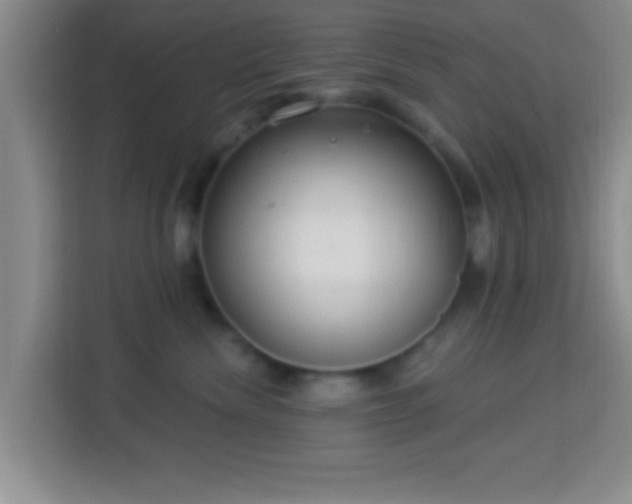 X0000113960476200910021529