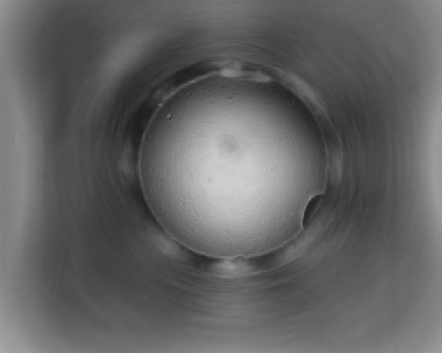 X0000113960477200910021529