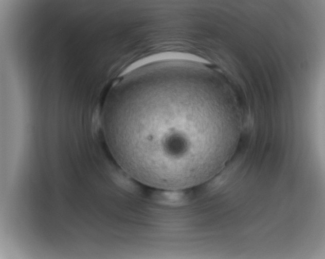 X0000113960478200910021529