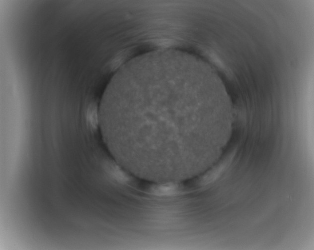 X0000113960479200910021529