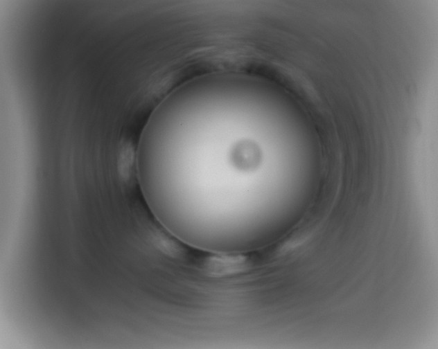 X0000113960480200910021529