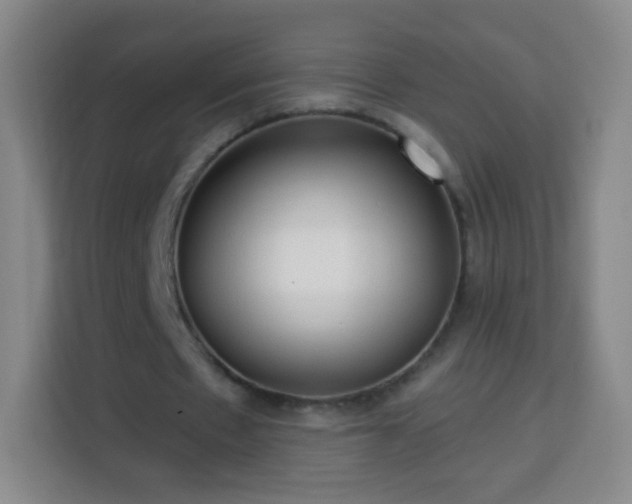 X0000113960481200910021529