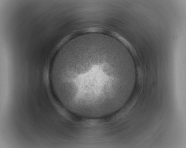 X0000113960482200910021529