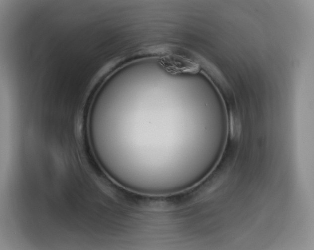 X0000113960483200910021529