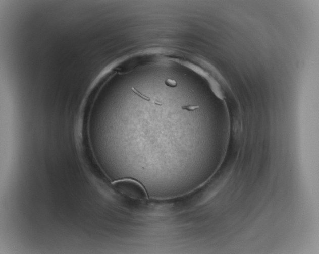 X0000113960484200910021529