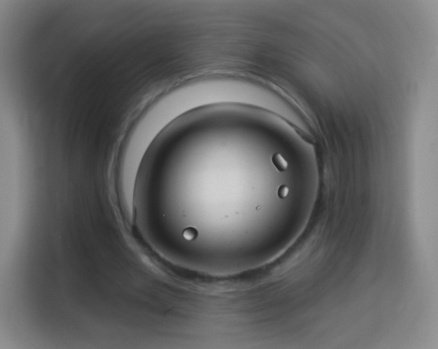 X0000113960485200910021529