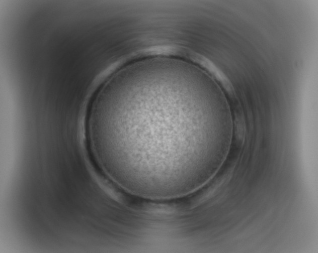 X0000113960486200910021529