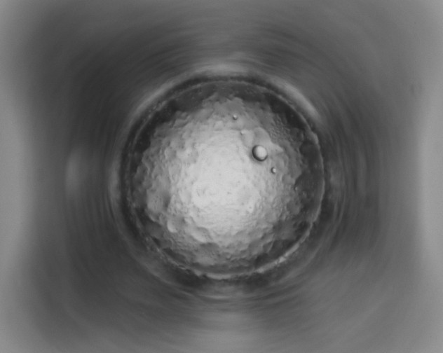 X0000113960487200910021529