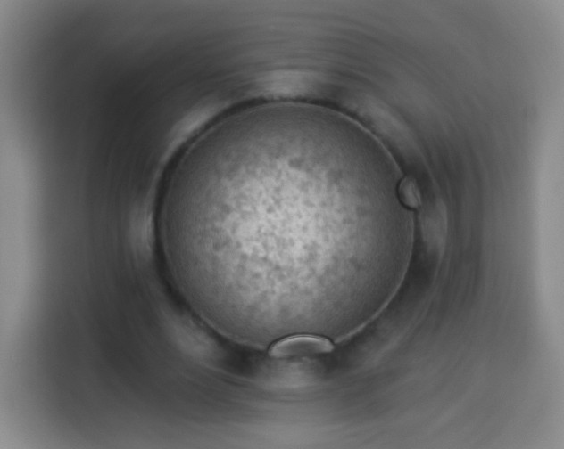 X0000113960488200910021529