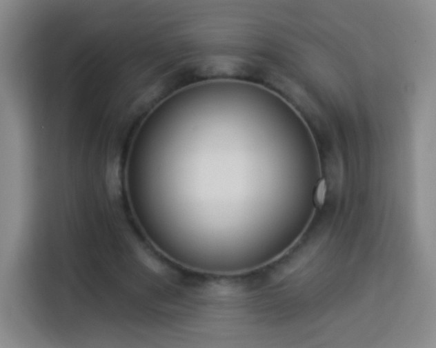 X0000113960489200910021529