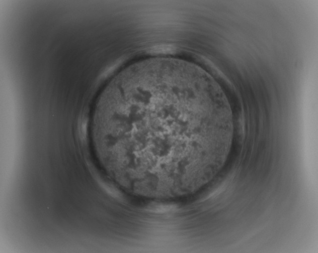 X0000113960491200910021529