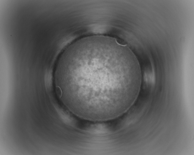 X0000113960492200910021529