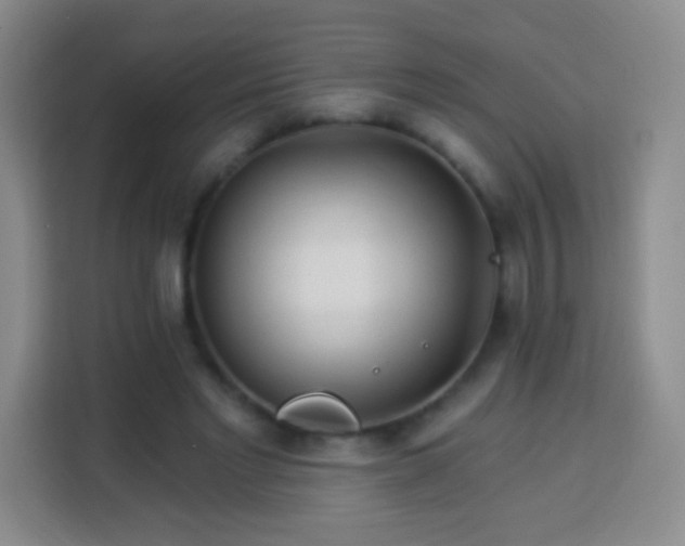 X0000113960493200910021529