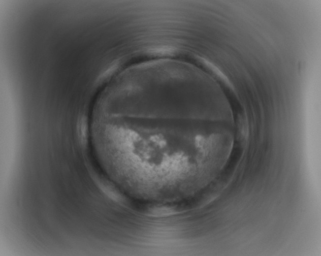 X0000113960494200910021528