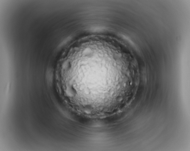 X0000113960495200910021528