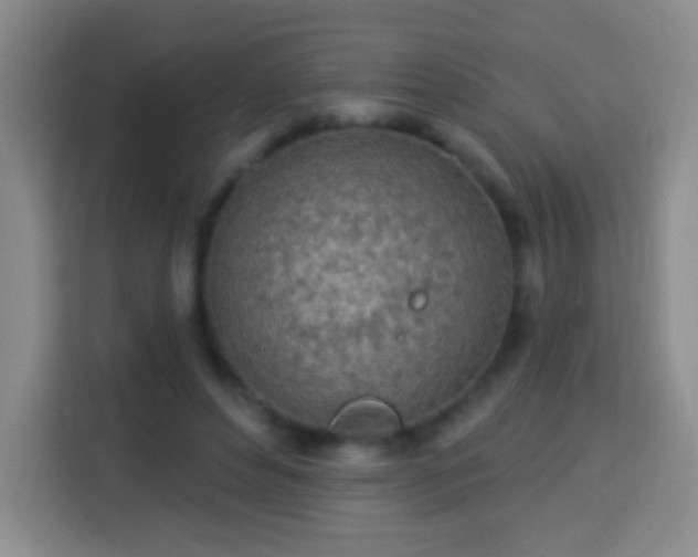 X0000113960496200910021528