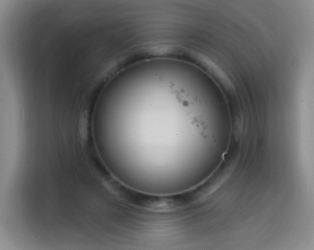 X0000113960497200910021528