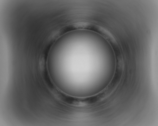 X0000113960498200910021528