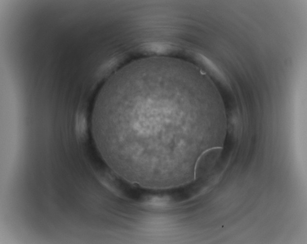 X0000113960500200910021528