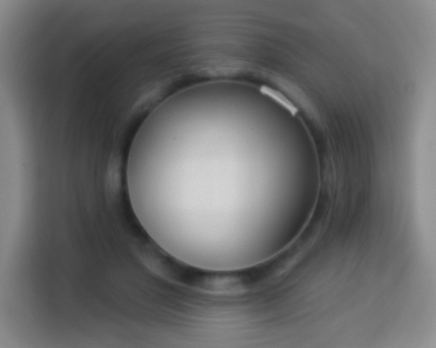 X0000113960501200910021528