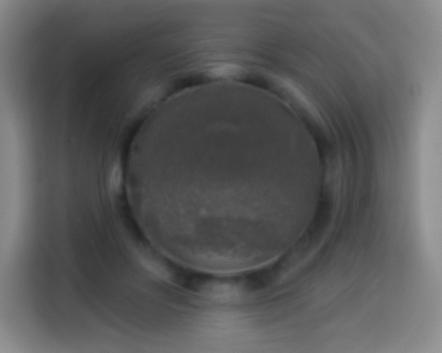 X0000113960502200910021528