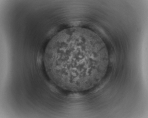 X0000113960503200910021528