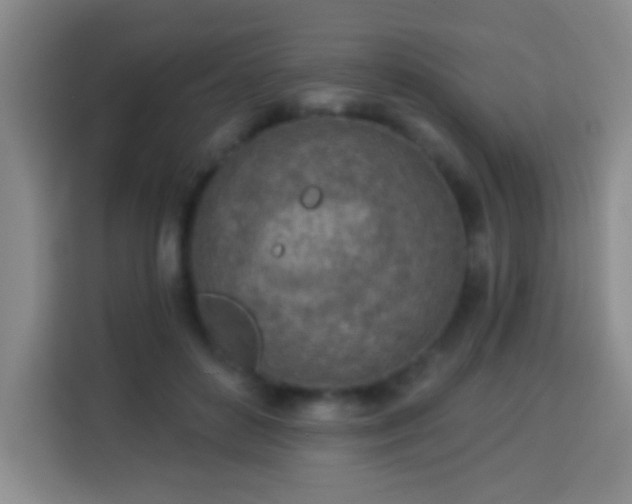 X0000113960504200910021528