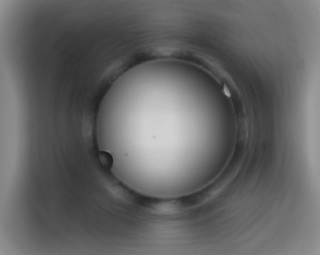 X0000113960505200910021528