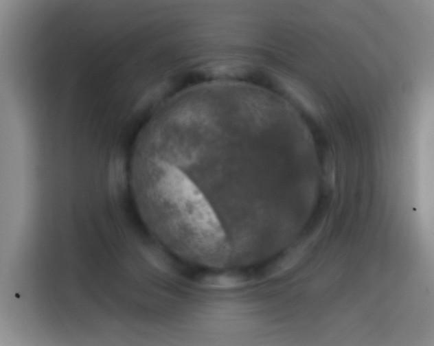 X0000113960506200910021528