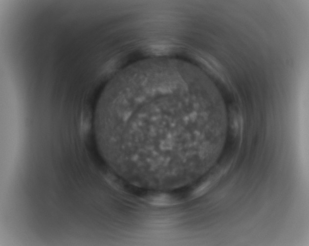 X0000113960507200910021528