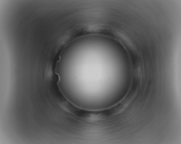 X0000113960508200910021528