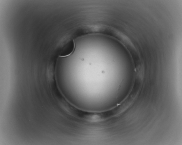 X0000113960509200910021528