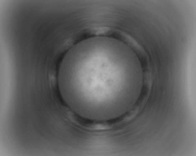 X0000113960510200910021528